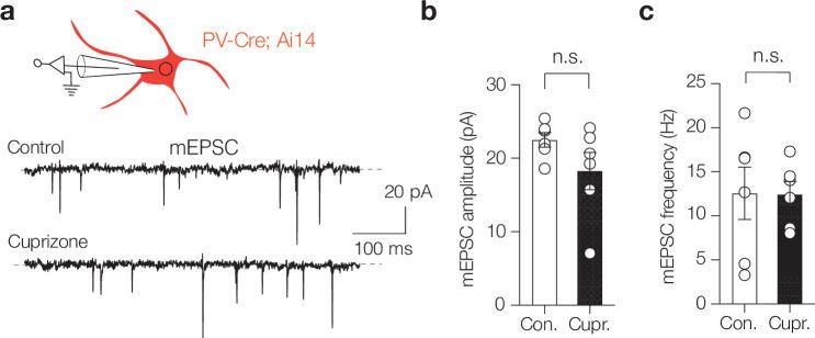 https://cdn.ncbi.nlm.nih.gov/pmc/blobs/b9c6/8887893/5066881e0623/elife-73827-fig3-figsupp4.jpg