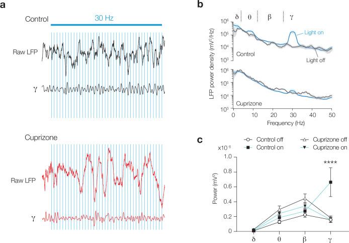 https://cdn.ncbi.nlm.nih.gov/pmc/blobs/b9c6/8887893/76d418733dfa/elife-73827-fig5-figsupp1.jpg