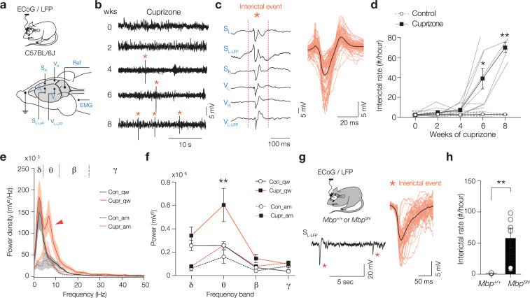 https://cdn.ncbi.nlm.nih.gov/pmc/blobs/b9c6/8887893/77e4343ea62b/elife-73827-fig1.jpg