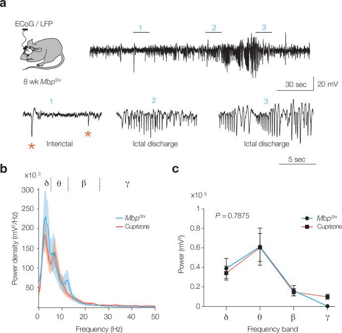 https://cdn.ncbi.nlm.nih.gov/pmc/blobs/b9c6/8887893/af15b2d568c4/elife-73827-fig1-figsupp2.jpg