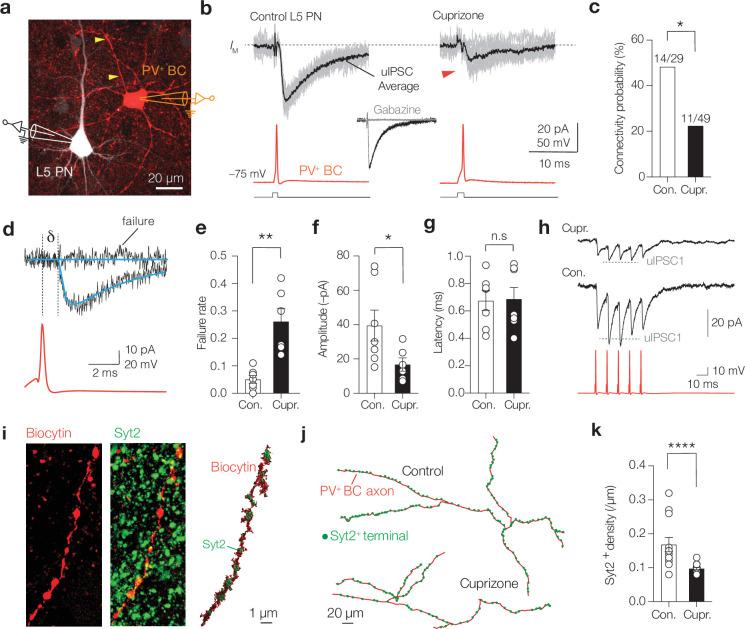 https://cdn.ncbi.nlm.nih.gov/pmc/blobs/b9c6/8887893/df18fbb2c879/elife-73827-fig3.jpg
