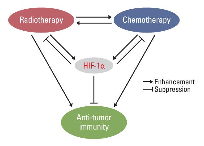 https://cdn.ncbi.nlm.nih.gov/pmc/blobs/b9ca/11729307/cf7df968a7c8/crt-2024-255f4.jpg