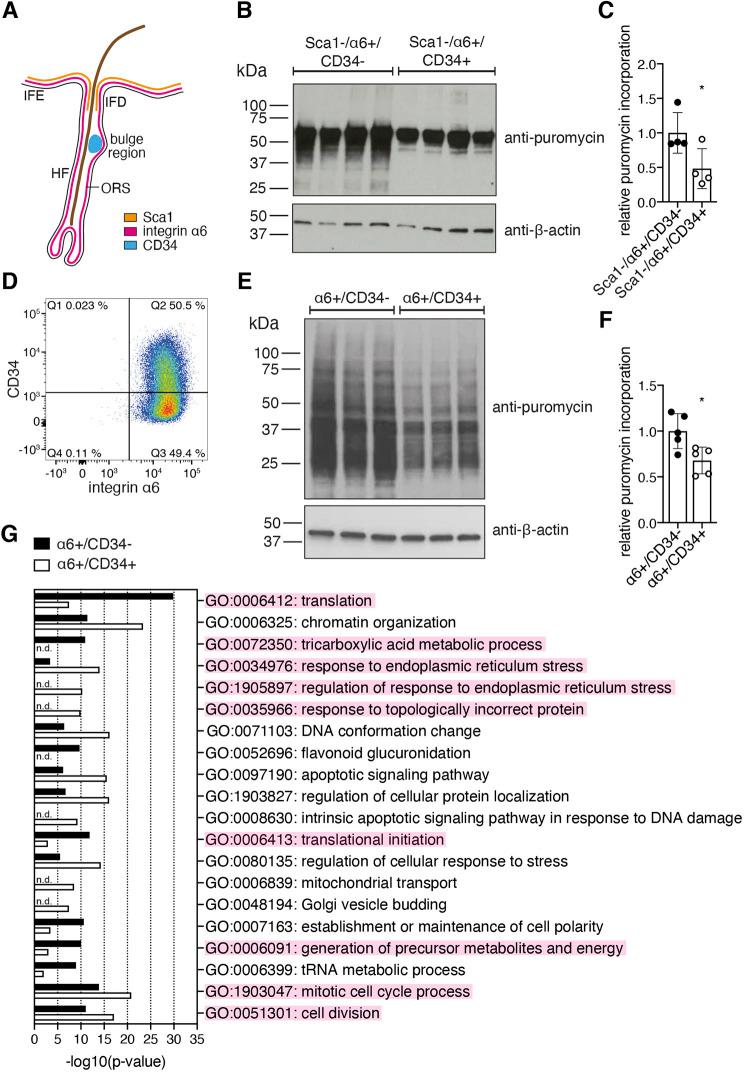 https://cdn.ncbi.nlm.nih.gov/pmc/blobs/b9ca/8182411/f1a0049a6b18/joces-134-252767-g1.jpg