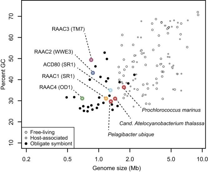 https://cdn.ncbi.nlm.nih.gov/pmc/blobs/b9cc/3812714/9e60e277bc69/mbo0051316400002.jpg