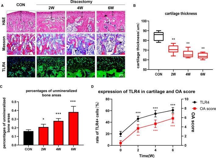 https://cdn.ncbi.nlm.nih.gov/pmc/blobs/b9cd/7576306/3992df20daf7/JCMM-24-11489-g002.jpg