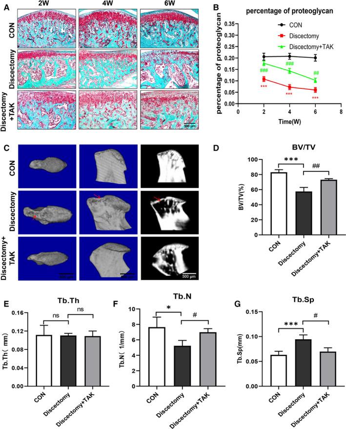 https://cdn.ncbi.nlm.nih.gov/pmc/blobs/b9cd/7576306/5cdd17e05431/JCMM-24-11489-g003.jpg