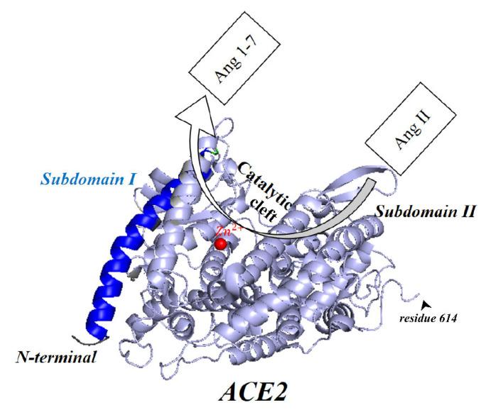 https://cdn.ncbi.nlm.nih.gov/pmc/blobs/b9cd/9968219/d714ee21059d/vaccines-11-00204-g004.jpg