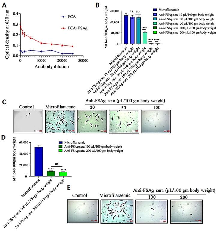https://cdn.ncbi.nlm.nih.gov/pmc/blobs/b9ce/8167583/0e3b441ca5d3/antibodies-10-00014-g002.jpg