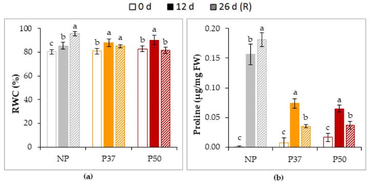 https://cdn.ncbi.nlm.nih.gov/pmc/blobs/b9cf/7996847/3940621301f5/plants-10-00446-g007.jpg