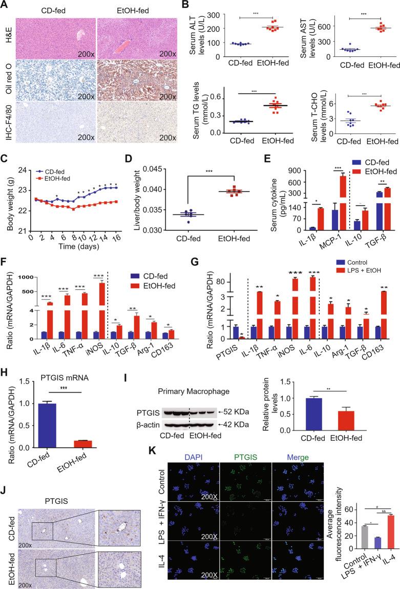 https://cdn.ncbi.nlm.nih.gov/pmc/blobs/b9cf/8367821/054940166144/41374_2021_531_Fig1_HTML.jpg