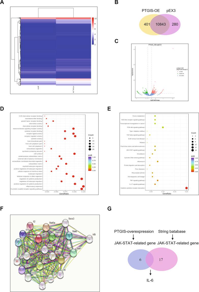 https://cdn.ncbi.nlm.nih.gov/pmc/blobs/b9cf/8367821/10d984ac16bf/41374_2021_531_Fig6_HTML.jpg