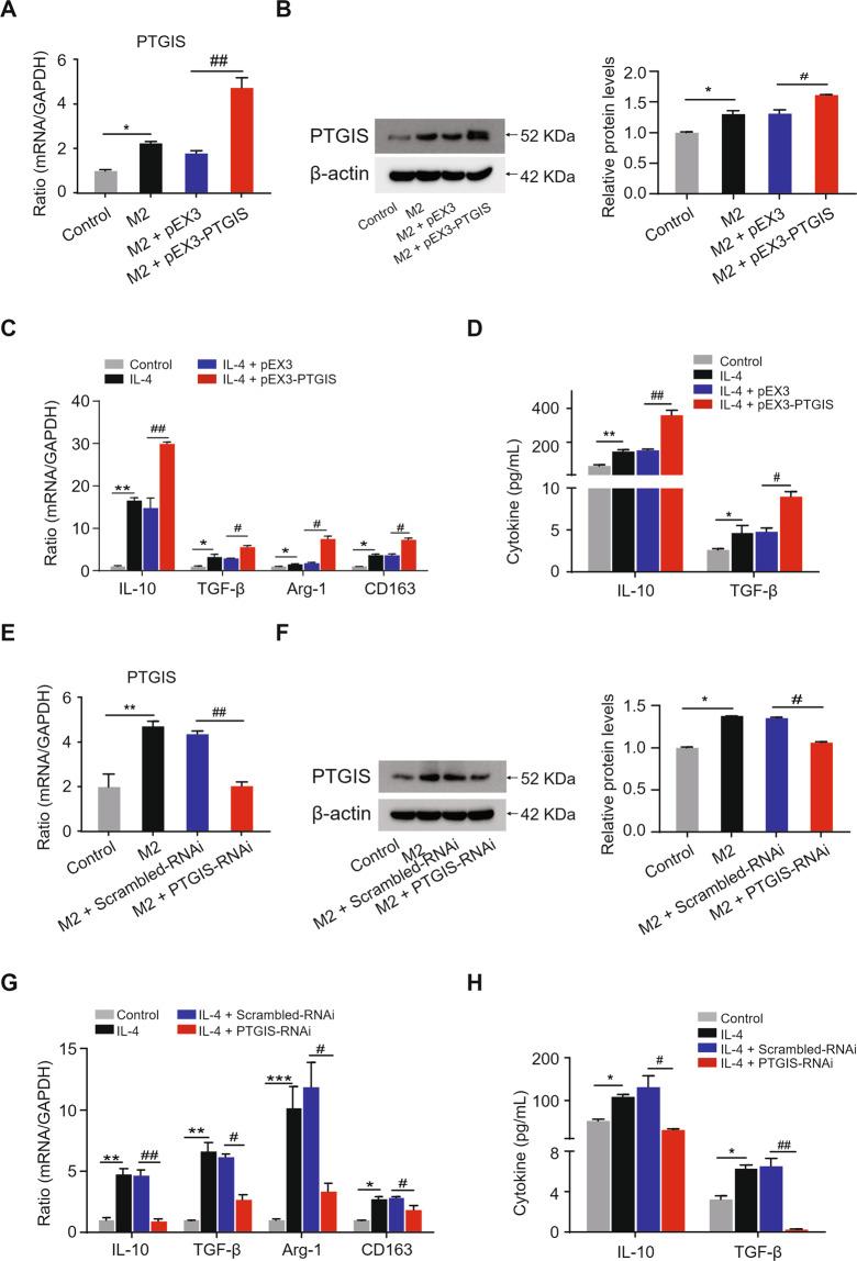 https://cdn.ncbi.nlm.nih.gov/pmc/blobs/b9cf/8367821/601343c875db/41374_2021_531_Fig5_HTML.jpg