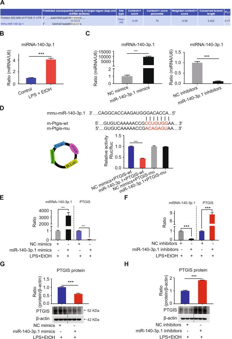 https://cdn.ncbi.nlm.nih.gov/pmc/blobs/b9cf/8367821/6f5e36b959fc/41374_2021_531_Fig3_HTML.jpg