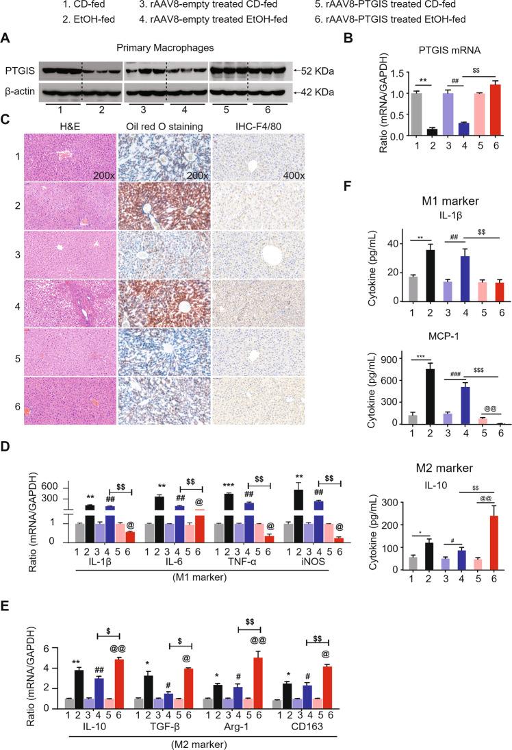 https://cdn.ncbi.nlm.nih.gov/pmc/blobs/b9cf/8367821/be83d0c5ec18/41374_2021_531_Fig2_HTML.jpg