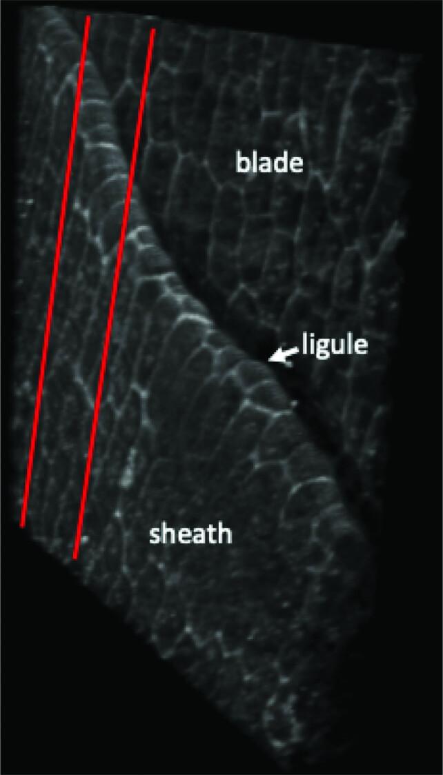 https://cdn.ncbi.nlm.nih.gov/pmc/blobs/b9d0/10200708/4cc02f10a043/41477_2023_1405_Fig17_ESM.jpg