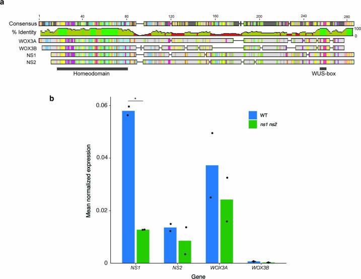 https://cdn.ncbi.nlm.nih.gov/pmc/blobs/b9d0/10200708/6157a12fa14d/41477_2023_1405_Fig16_ESM.jpg