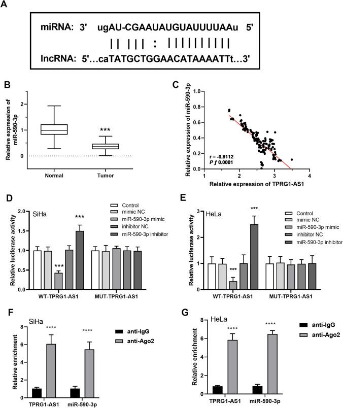 https://cdn.ncbi.nlm.nih.gov/pmc/blobs/b9d2/11655740/0a35cb085a98/12672_2024_1654_Fig4_HTML.jpg