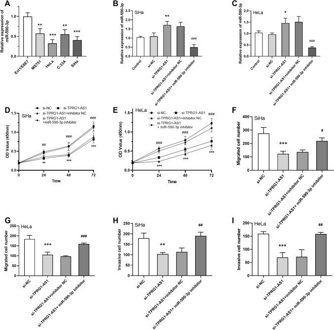 https://cdn.ncbi.nlm.nih.gov/pmc/blobs/b9d2/11655740/50bbd219c787/12672_2024_1654_Fig5_HTML.jpg