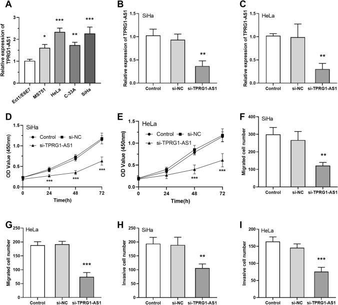 https://cdn.ncbi.nlm.nih.gov/pmc/blobs/b9d2/11655740/fbfdb2a64640/12672_2024_1654_Fig3_HTML.jpg