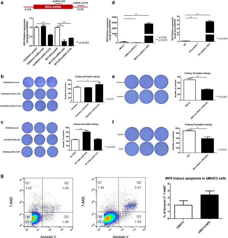 https://cdn.ncbi.nlm.nih.gov/pmc/blobs/b9d2/8054409/bb084df9881b/12935_2021_1925_Fig4_HTML.jpg