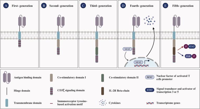 https://cdn.ncbi.nlm.nih.gov/pmc/blobs/b9d4/11694027/ba0add86d535/fimmu-15-1476859-g001.jpg