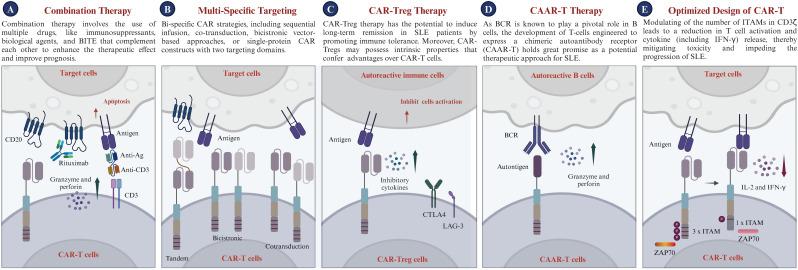 https://cdn.ncbi.nlm.nih.gov/pmc/blobs/b9d4/11694027/e5a2d1b7ce00/fimmu-15-1476859-g005.jpg