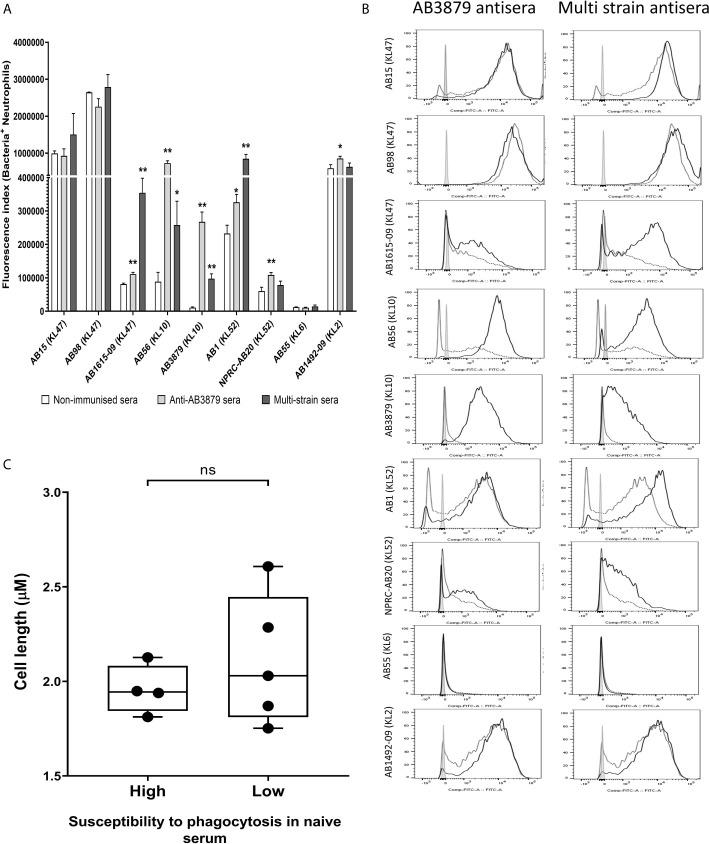 https://cdn.ncbi.nlm.nih.gov/pmc/blobs/b9d6/8363311/1c6aea15507f/fimmu-12-705533-g008.jpg