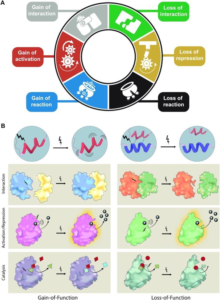 https://cdn.ncbi.nlm.nih.gov/pmc/blobs/b9d6/9846427/105848f804b0/zcac040fig6.jpg