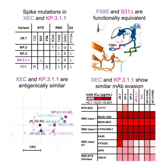 https://cdn.ncbi.nlm.nih.gov/pmc/blobs/b9d9/12014523/9488797d249a/fx1.jpg