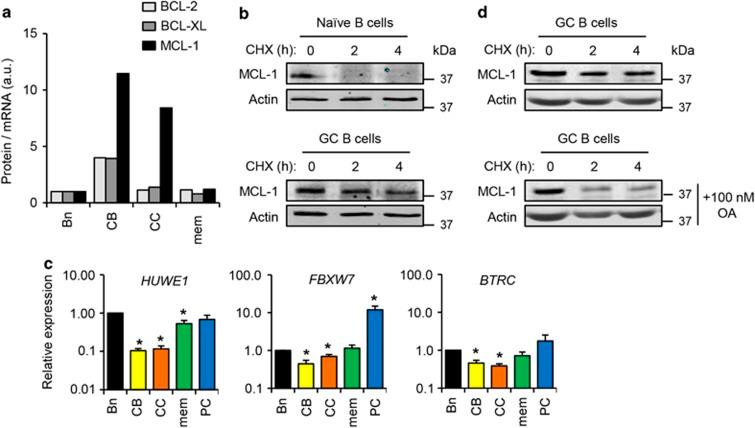 https://cdn.ncbi.nlm.nih.gov/pmc/blobs/b9d9/5260491/a85c6b103190/cdd2016105f3.jpg