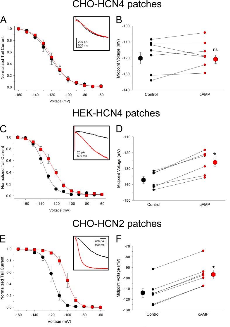 https://cdn.ncbi.nlm.nih.gov/pmc/blobs/b9da/3483121/0445af2a7b5c/JGP_201210858R_Fig2.jpg