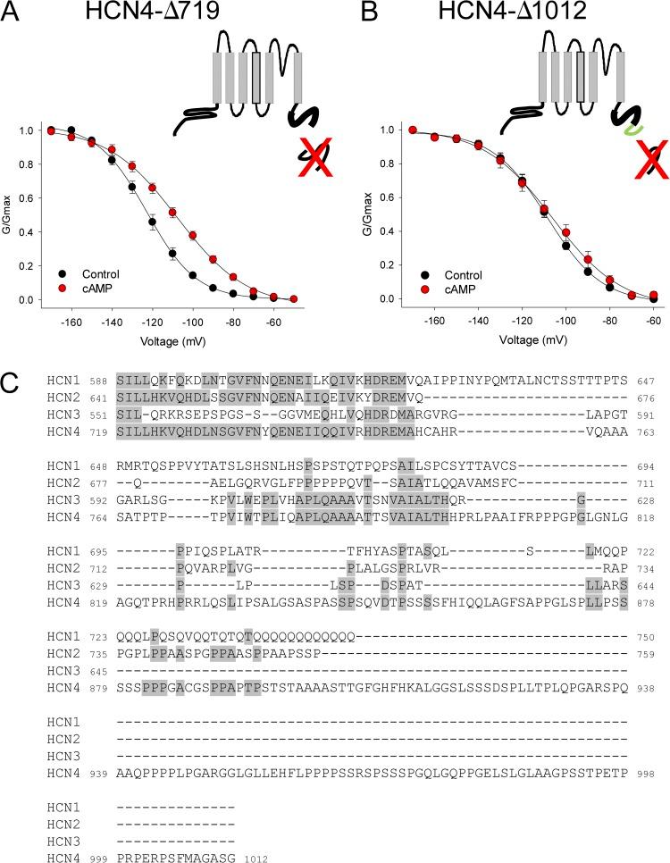 https://cdn.ncbi.nlm.nih.gov/pmc/blobs/b9da/3483121/50532699c348/JGP_201210858_Fig4.jpg