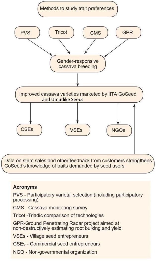 https://cdn.ncbi.nlm.nih.gov/pmc/blobs/b9db/12122505/21a71e6e5c76/fsoc-09-1258723-g0001.jpg