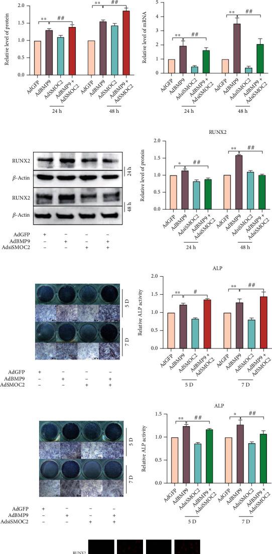 https://cdn.ncbi.nlm.nih.gov/pmc/blobs/b9dc/9870698/40256119a31d/SCI2023-5915988.002.jpg