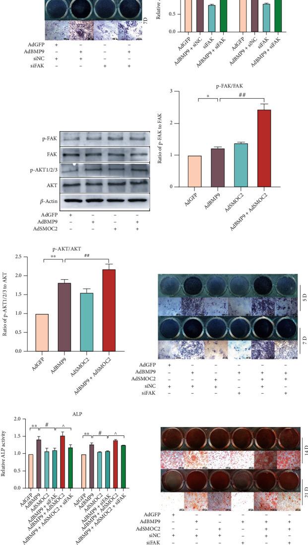 https://cdn.ncbi.nlm.nih.gov/pmc/blobs/b9dc/9870698/692d3f3ce9bb/SCI2023-5915988.004.jpg