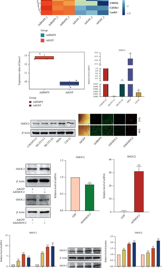 https://cdn.ncbi.nlm.nih.gov/pmc/blobs/b9dc/9870698/82cf42b0021c/SCI2023-5915988.001.jpg