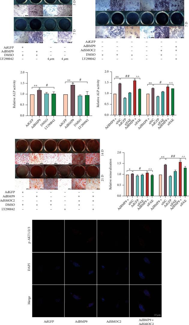 https://cdn.ncbi.nlm.nih.gov/pmc/blobs/b9dc/9870698/ee8d3a27a969/SCI2023-5915988.006.jpg