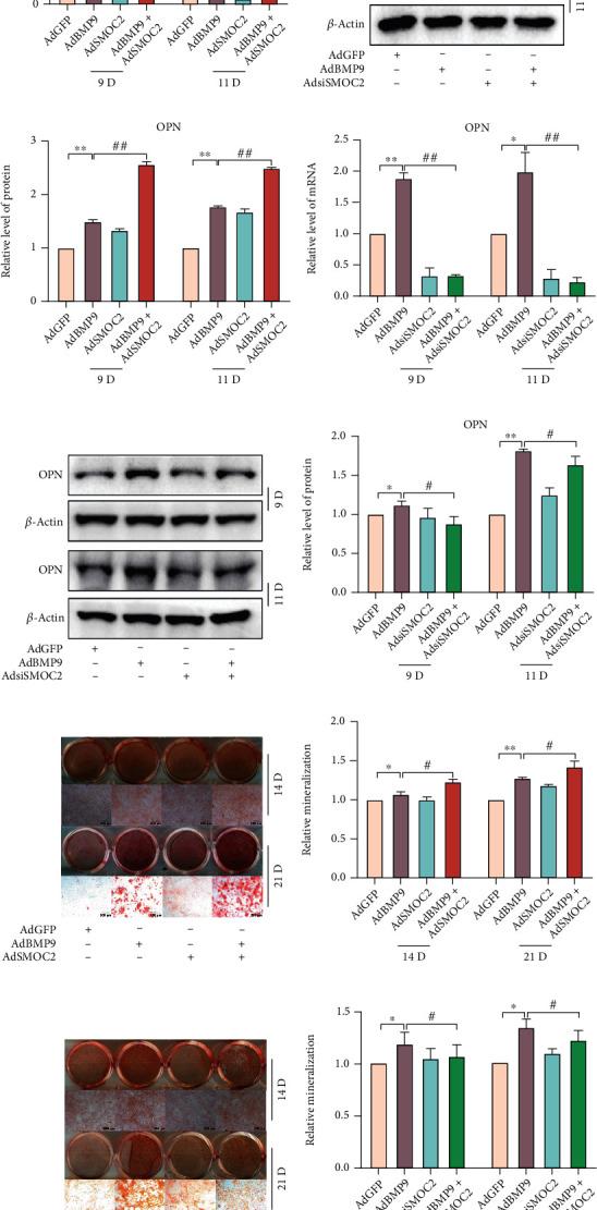 https://cdn.ncbi.nlm.nih.gov/pmc/blobs/b9dc/9870698/f738b860253e/SCI2023-5915988.003.jpg