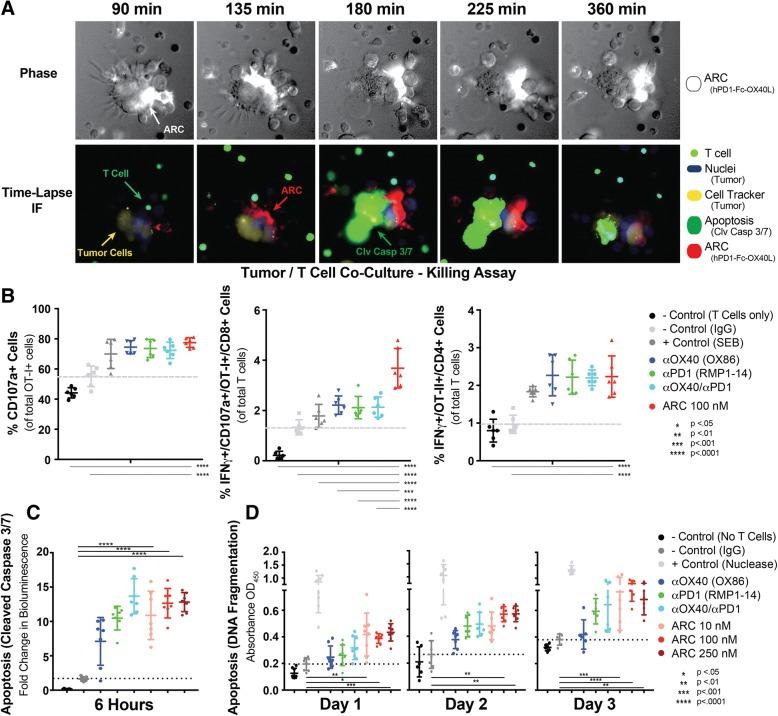 https://cdn.ncbi.nlm.nih.gov/pmc/blobs/b9dd/6299665/8b8d42b4df76/40425_2018_454_Fig6_HTML.jpg