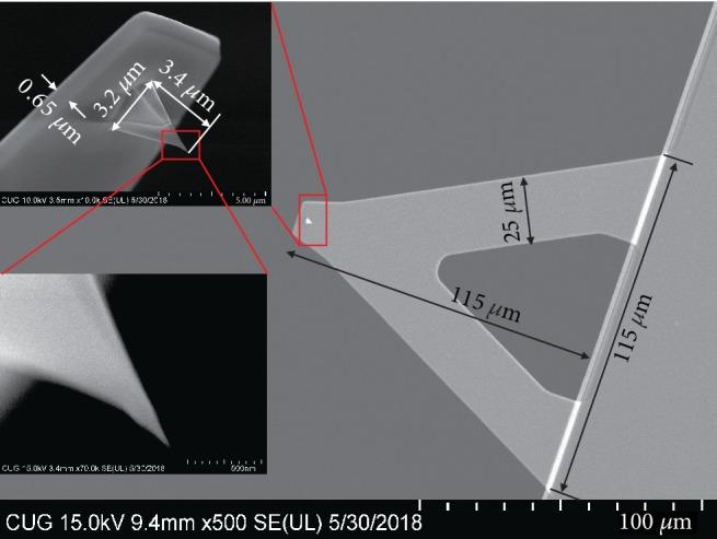 https://cdn.ncbi.nlm.nih.gov/pmc/blobs/b9dd/6854256/863e824d7950/SCANNING2019-1694169.003.jpg