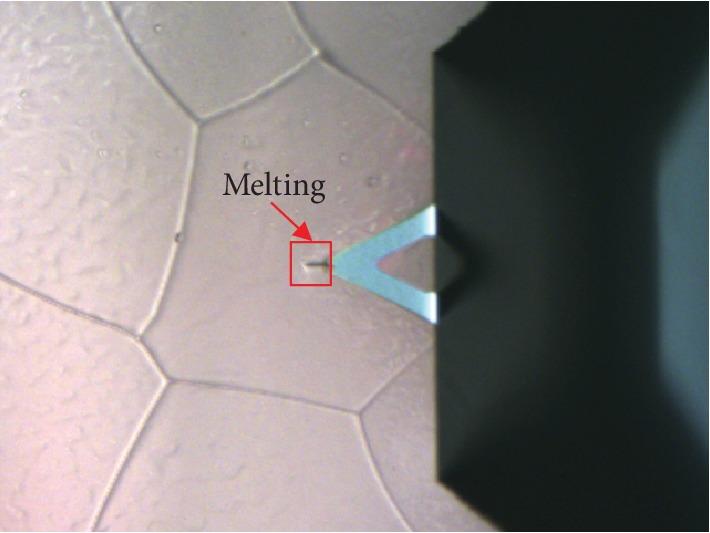 https://cdn.ncbi.nlm.nih.gov/pmc/blobs/b9dd/6854256/e17a1569ccfe/SCANNING2019-1694169.001.jpg