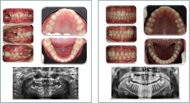 https://cdn.ncbi.nlm.nih.gov/pmc/blobs/b9de/12229487/73b94d1a6c94/40510_2025_570_Fig4_HTML.jpg