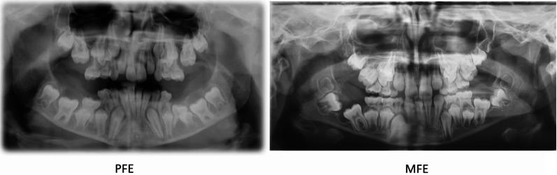 https://cdn.ncbi.nlm.nih.gov/pmc/blobs/b9de/12229487/956b4be7ee11/40510_2025_570_Fig2_HTML.jpg