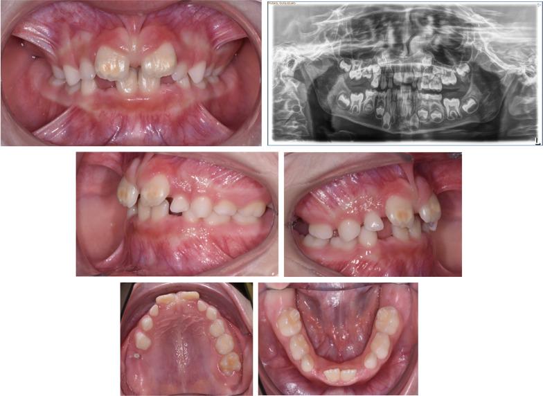 https://cdn.ncbi.nlm.nih.gov/pmc/blobs/b9de/12229487/dbd796ca7c57/40510_2025_570_Fig5_HTML.jpg