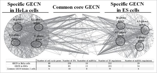 https://cdn.ncbi.nlm.nih.gov/pmc/blobs/b9de/5053590/044e7cfbdad1/kccy-15-19-1198862-g004.jpg