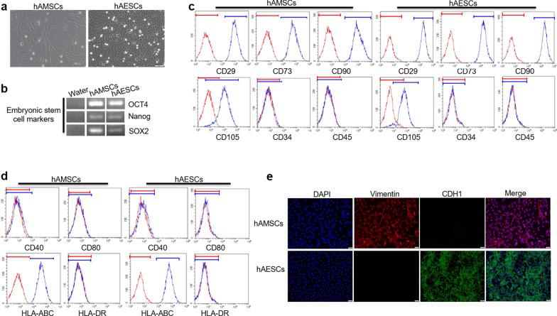 https://cdn.ncbi.nlm.nih.gov/pmc/blobs/b9de/8431893/5f215b16d061/13287_2021_2570_Fig1_HTML.jpg