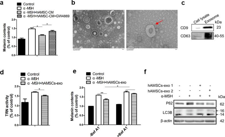 https://cdn.ncbi.nlm.nih.gov/pmc/blobs/b9de/8431893/af0d6035f45f/13287_2021_2570_Fig5_HTML.jpg