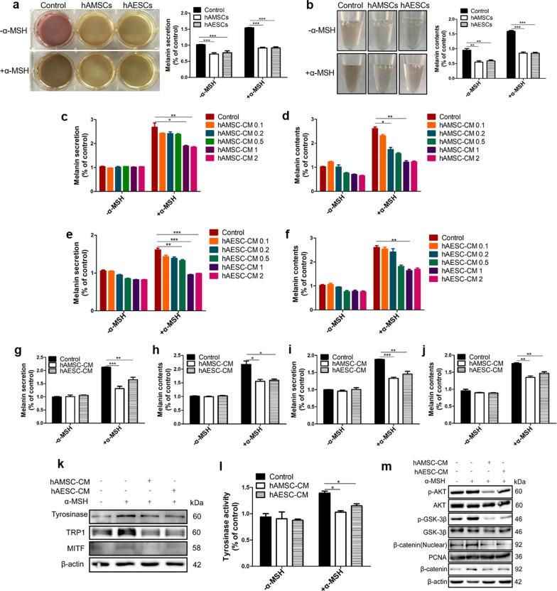 https://cdn.ncbi.nlm.nih.gov/pmc/blobs/b9de/8431893/faca8bb1e699/13287_2021_2570_Fig2_HTML.jpg
