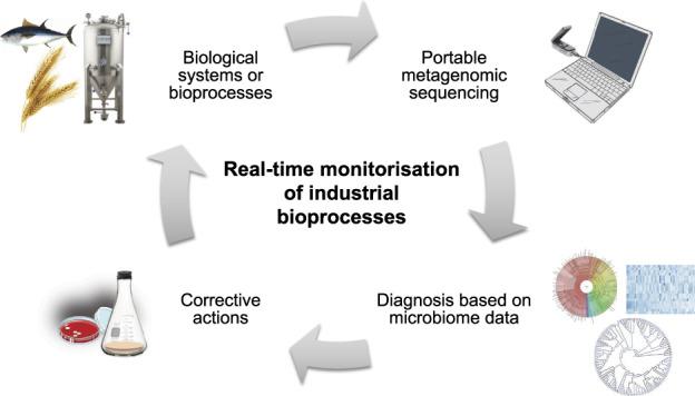 https://cdn.ncbi.nlm.nih.gov/pmc/blobs/b9e1/7585387/11747495de96/bpaa016f1.jpg