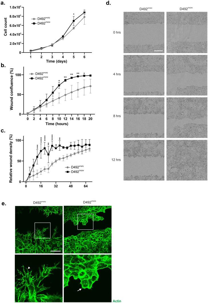 https://cdn.ncbi.nlm.nih.gov/pmc/blobs/b9e3/8858314/0b1d68590ea5/10911_2021_9507_Fig5_HTML.jpg